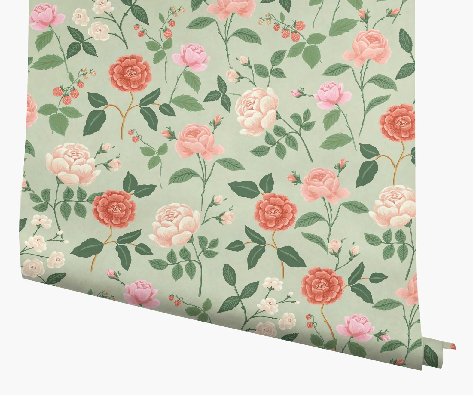 Roses Wallpaper