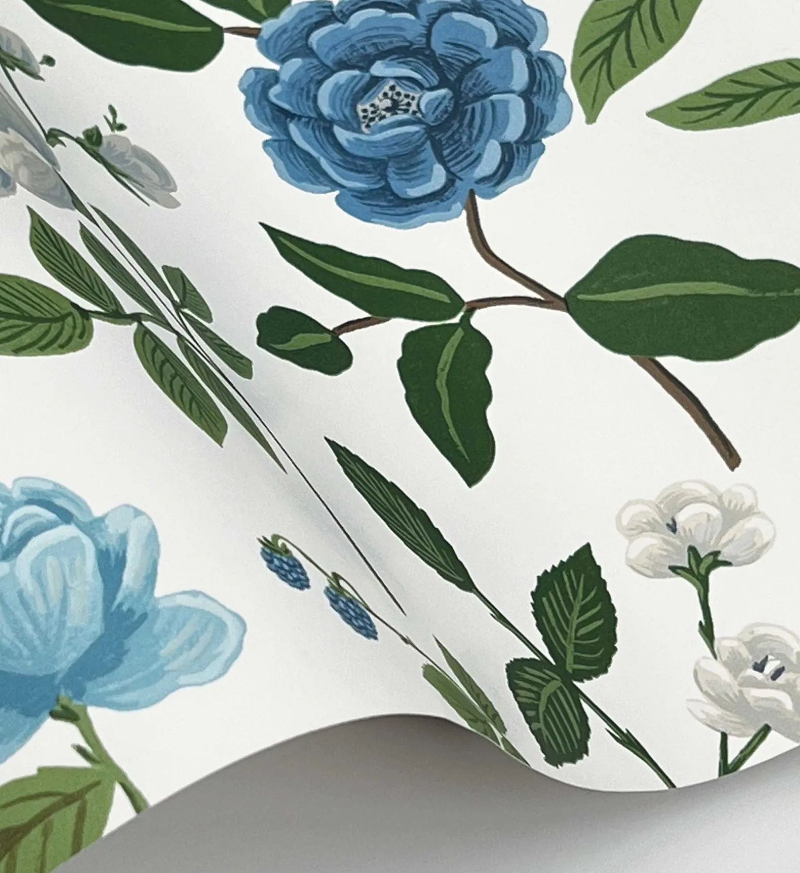 Roses Wallpaper