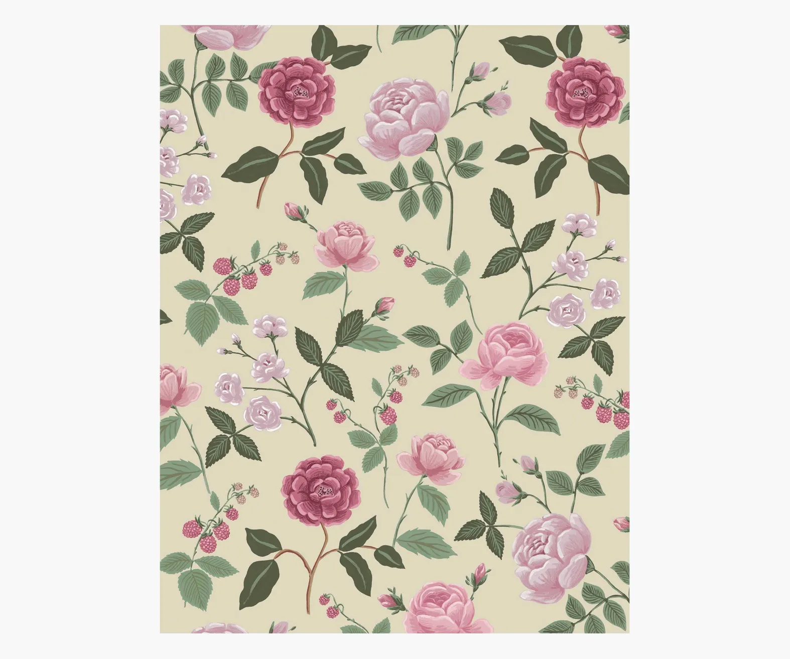 Roses Wallpaper