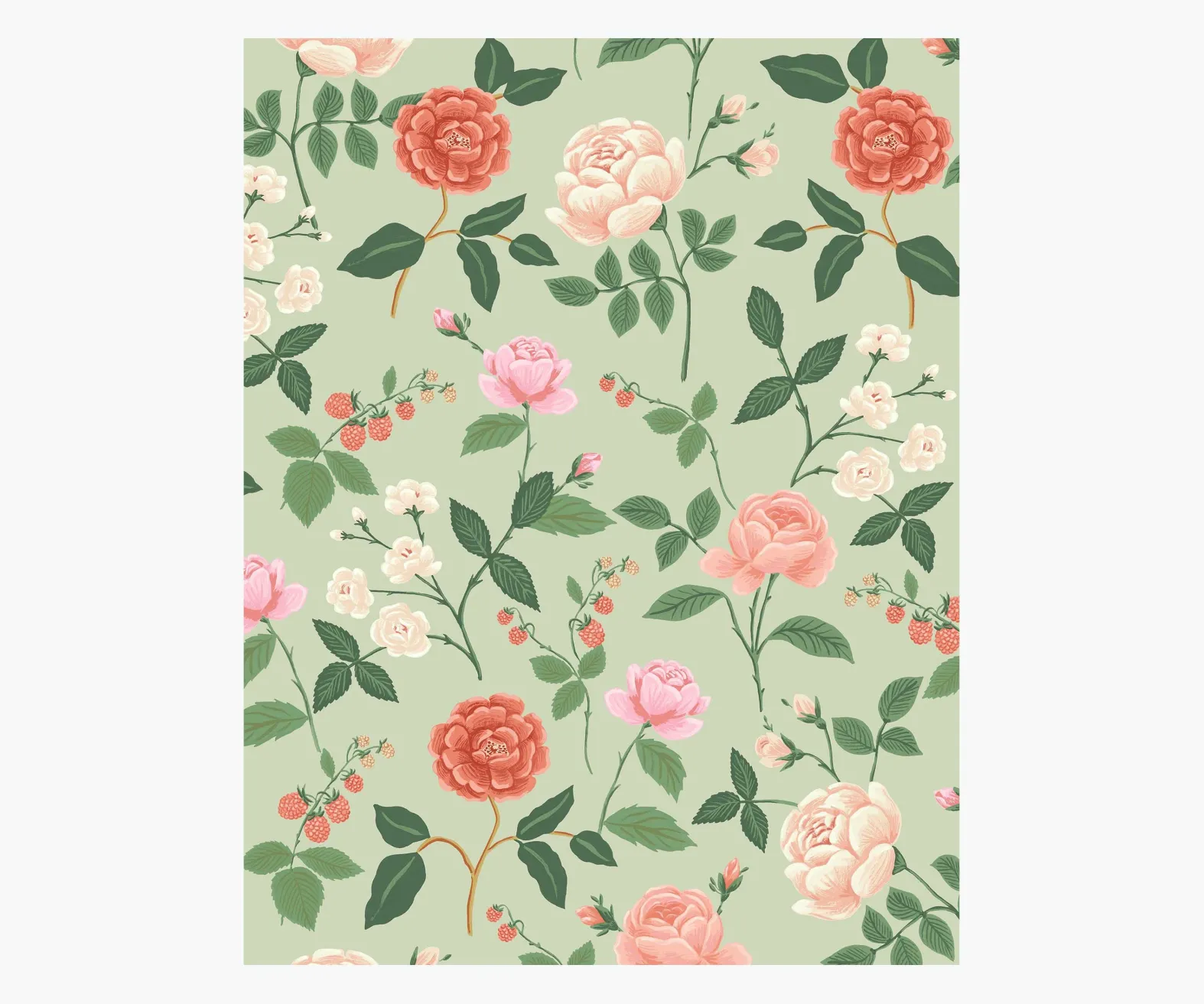 Roses Wallpaper Sample