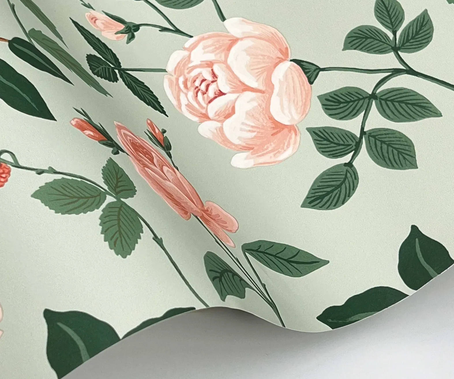 Roses Wallpaper Sample