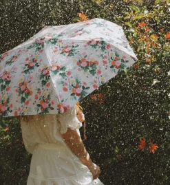 Umbrella