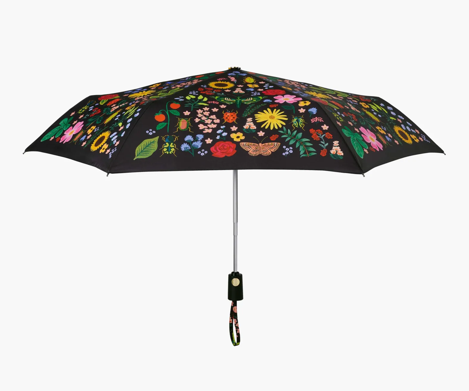 Umbrella