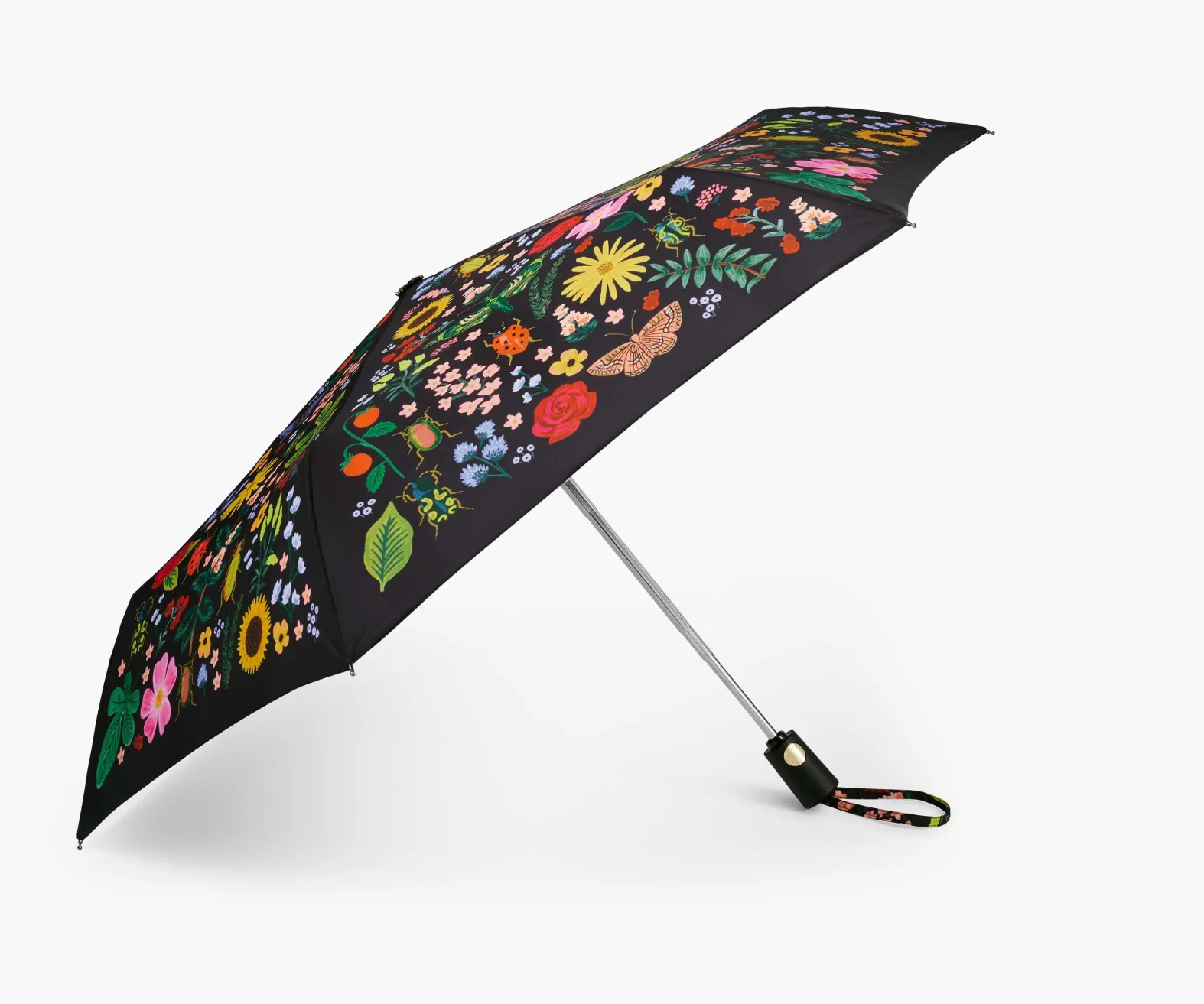 Umbrella