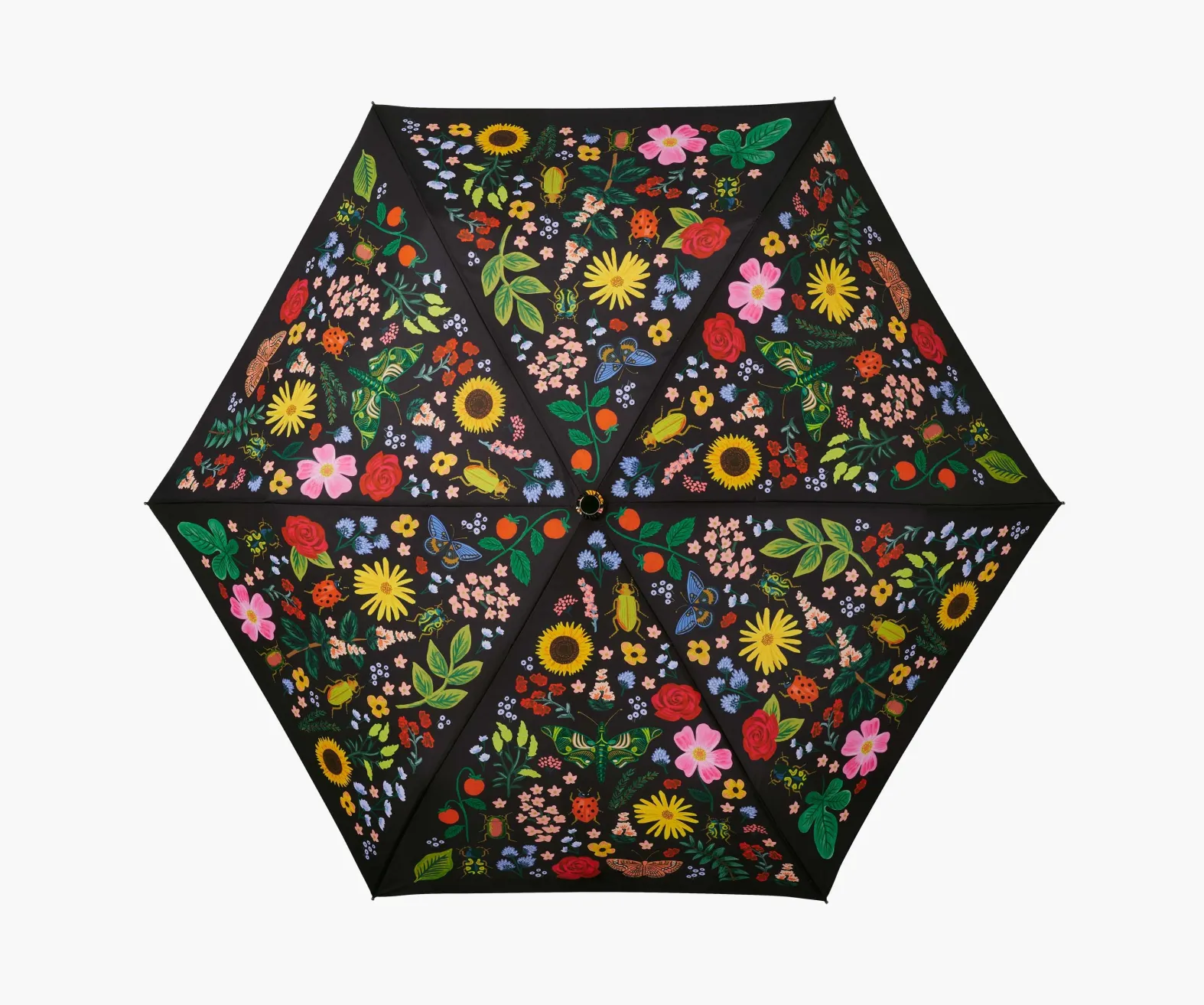 Umbrella