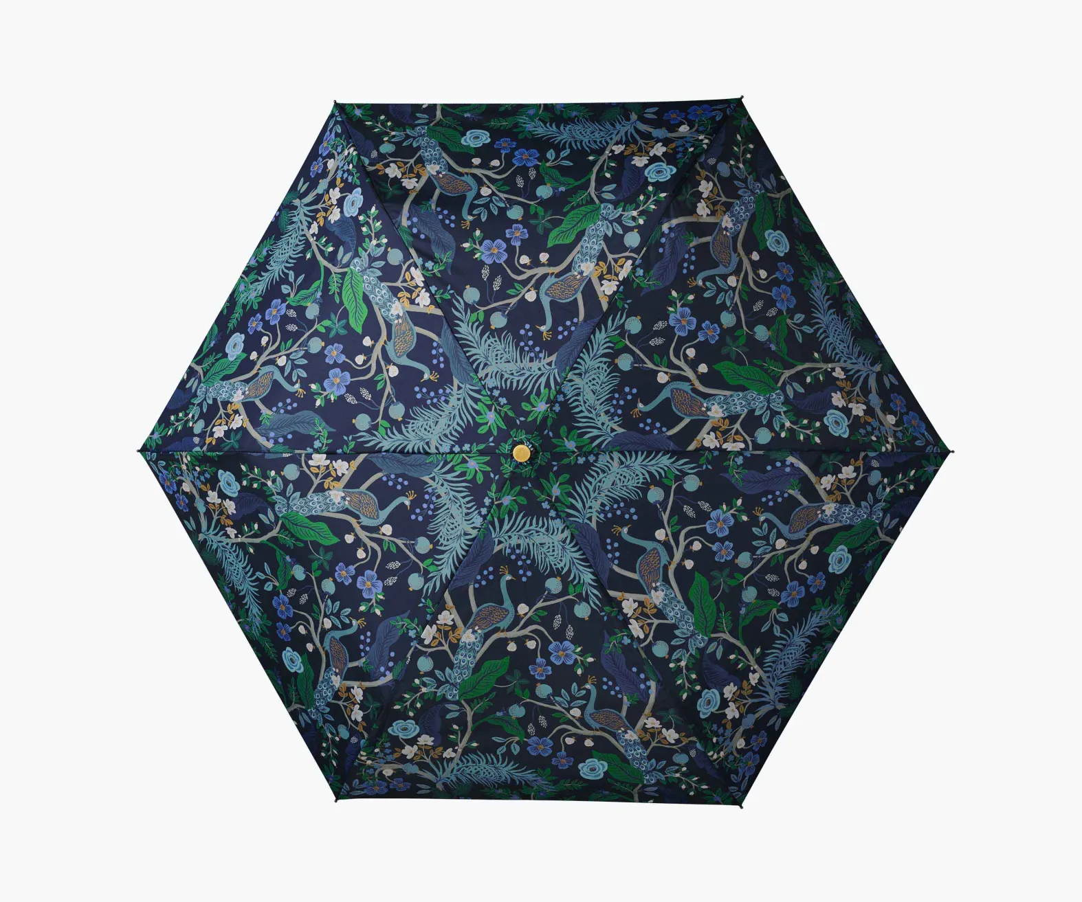 Umbrella