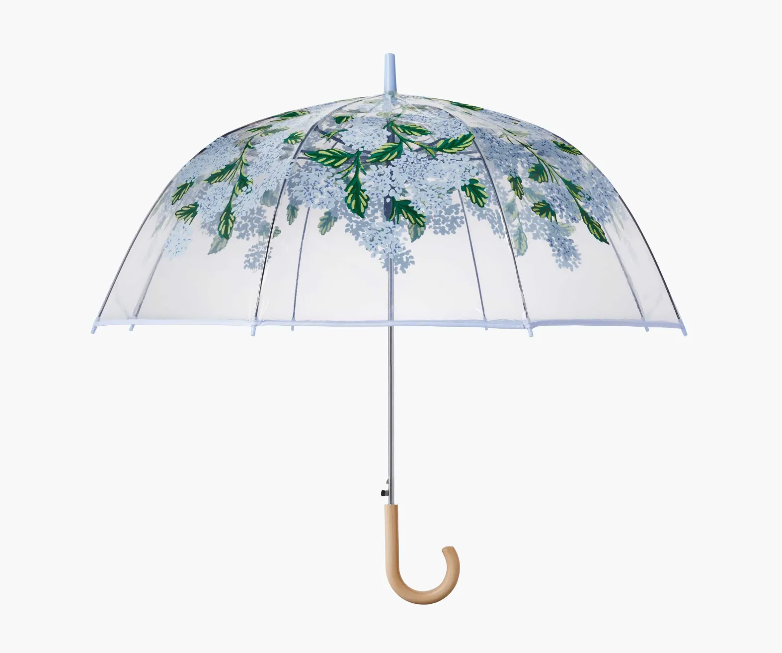 Umbrella