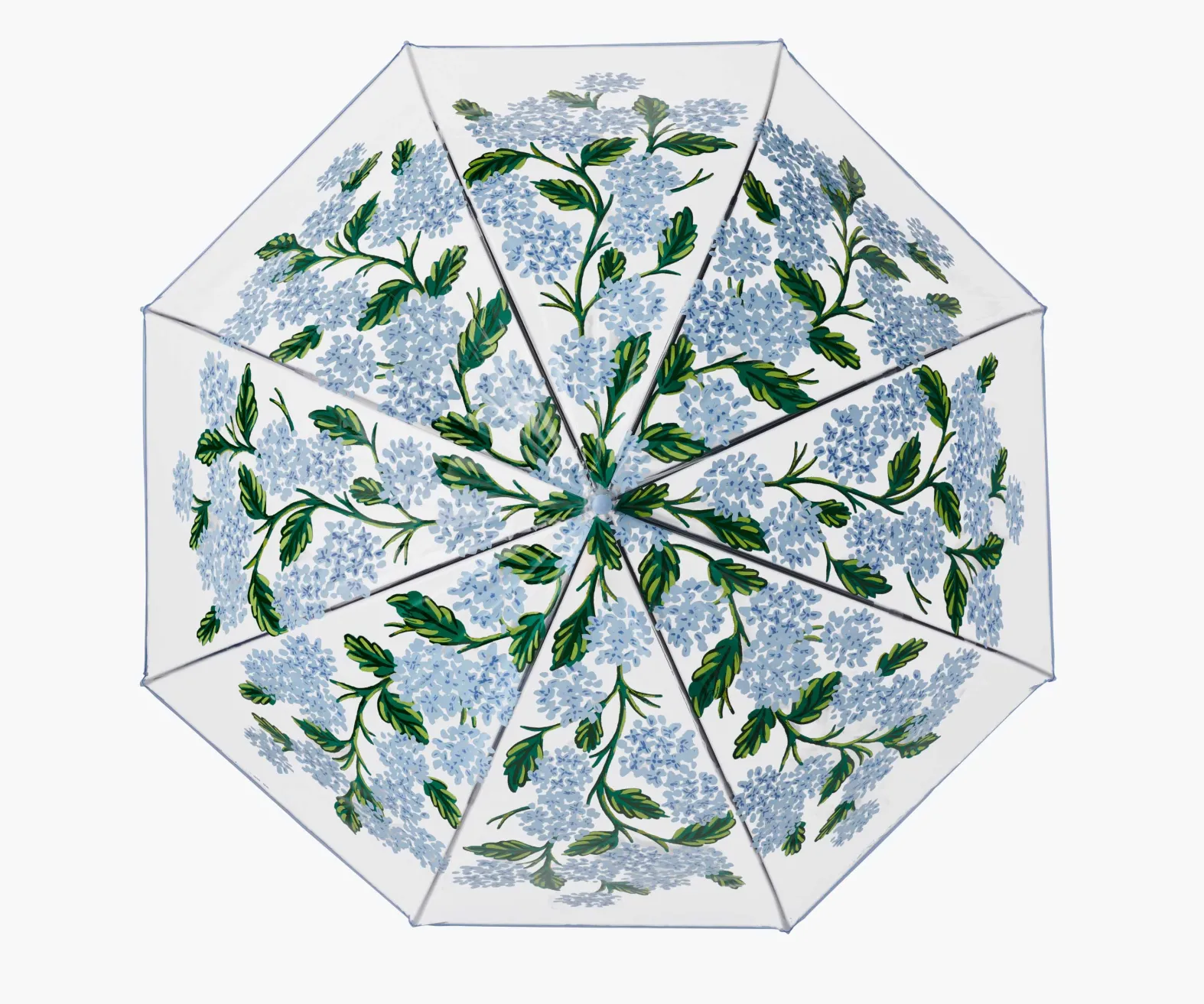 Umbrella